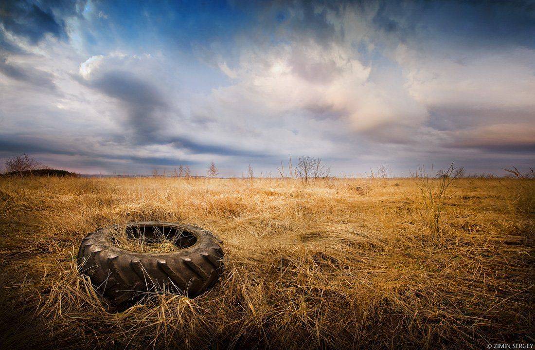 , Сергей Зимин