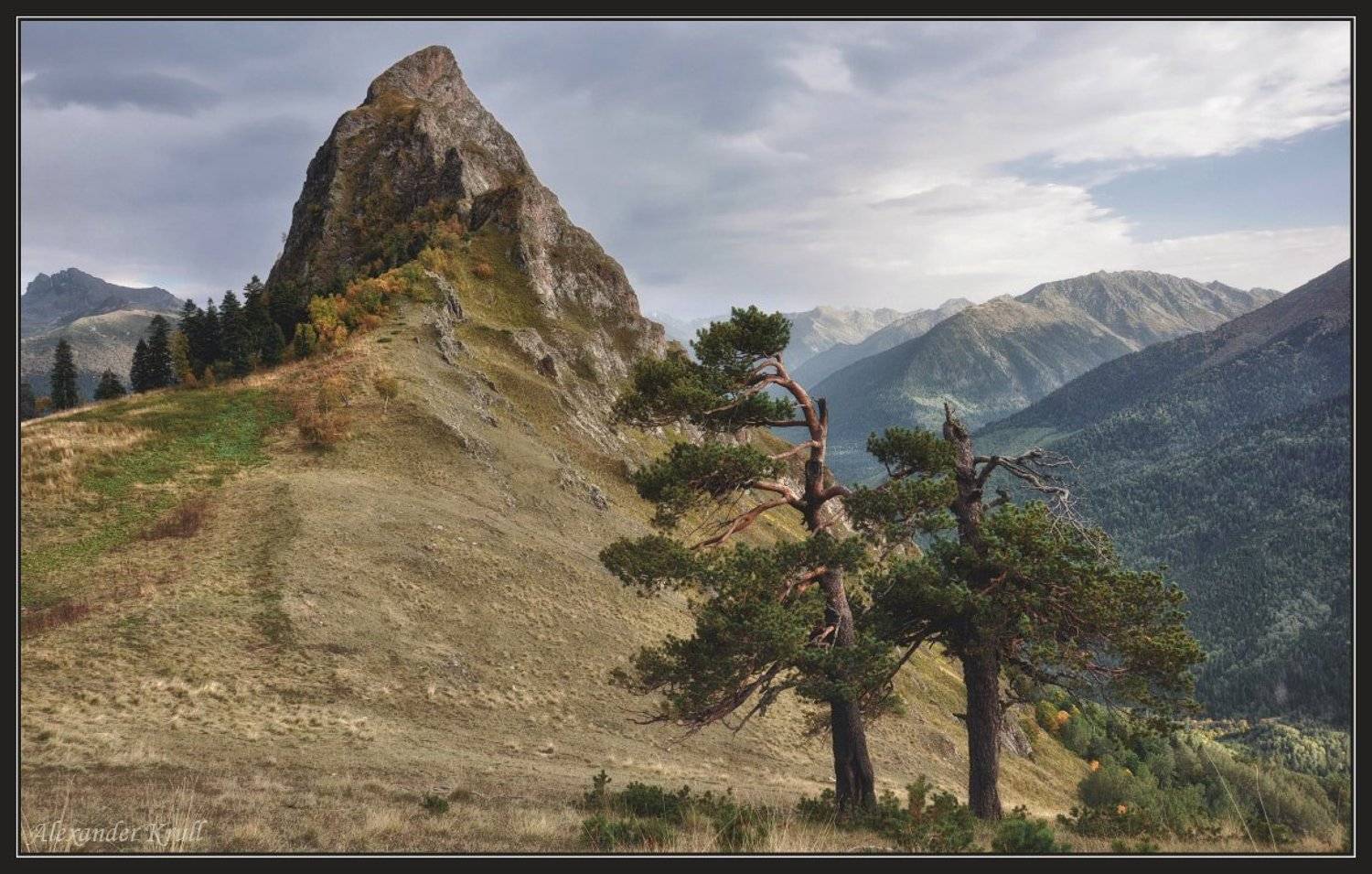 горы, сосны, пик, закан, Александр Круль