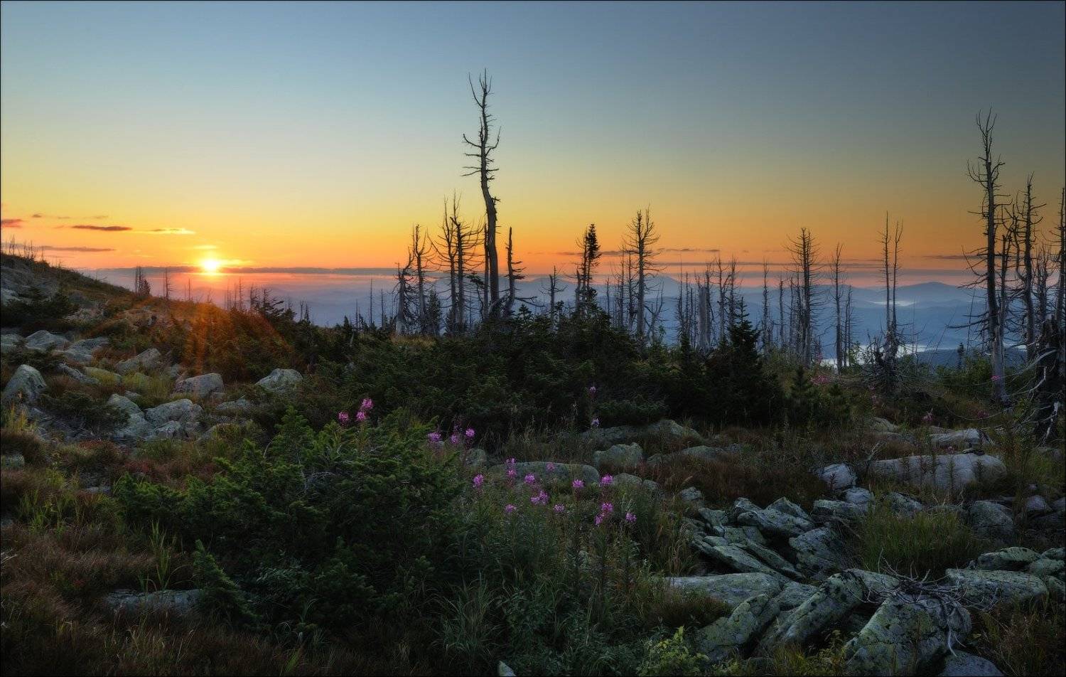 утро, солнце, шерегеш, Евгений Мартов