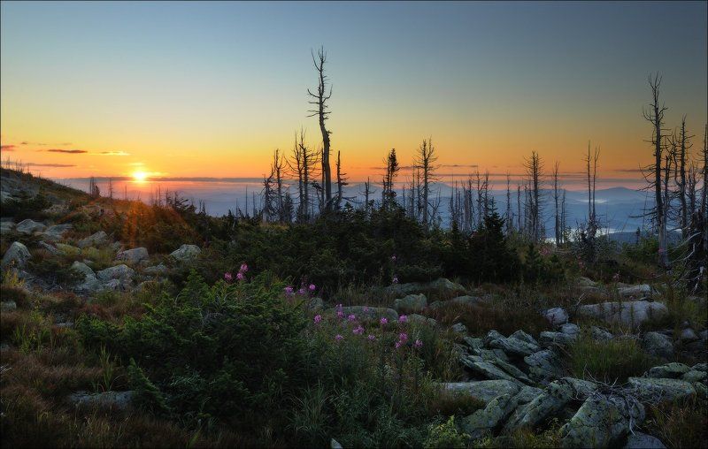 утро, солнце, шерегеш УТРО фото превью