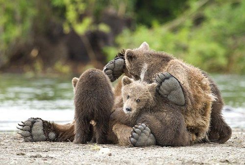 А я наелся !