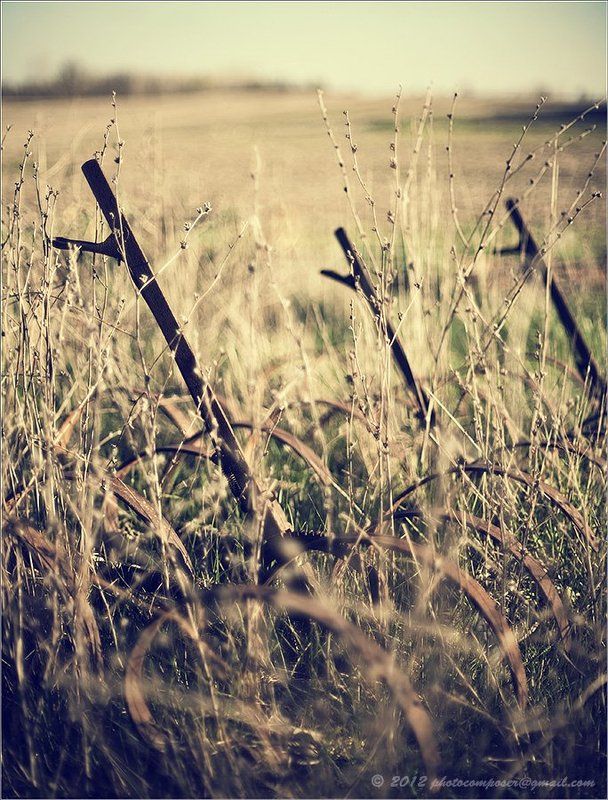 Grips... фото превью