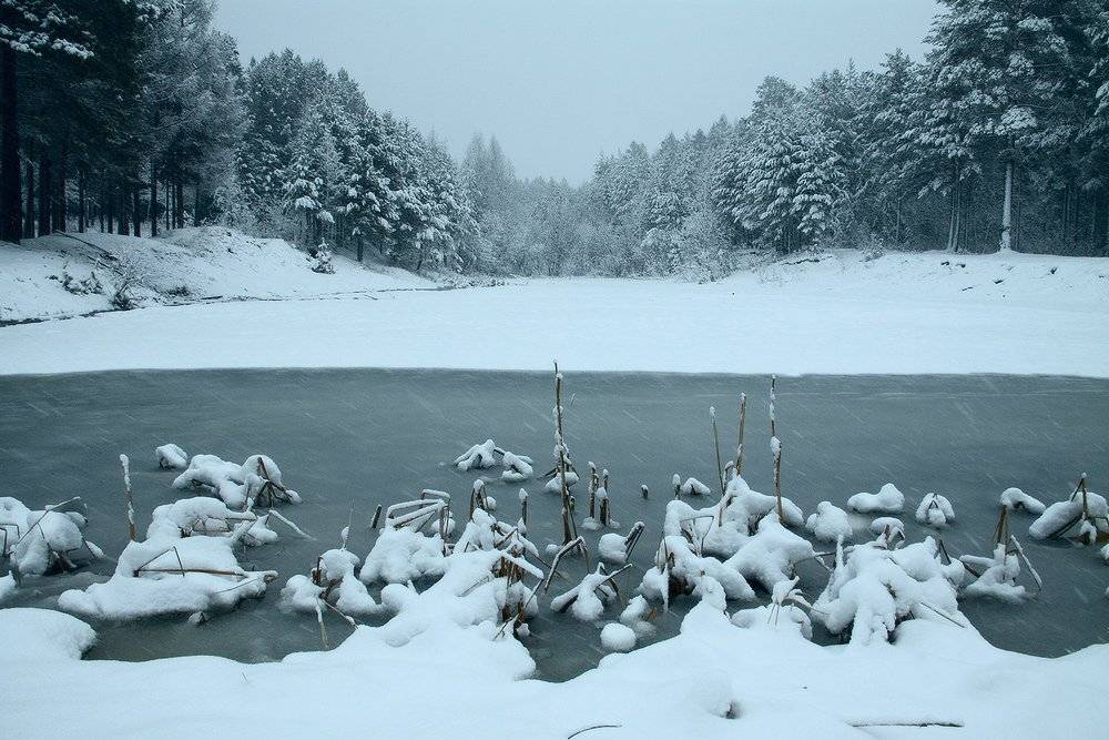 , Николай Морский