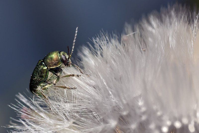 Восхождение... фото превью
