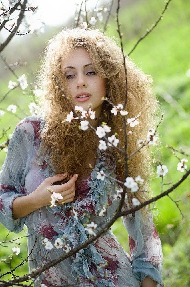 , Владимир Белый