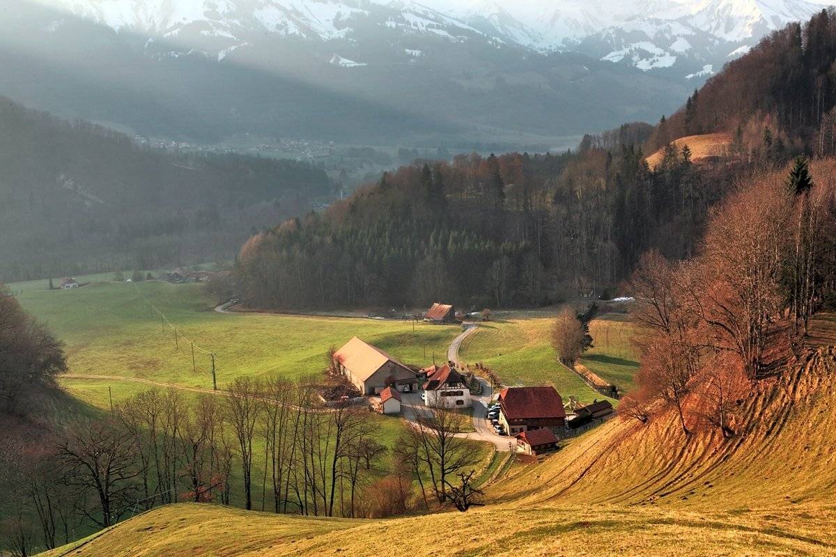 swiss, Матвеев Николай