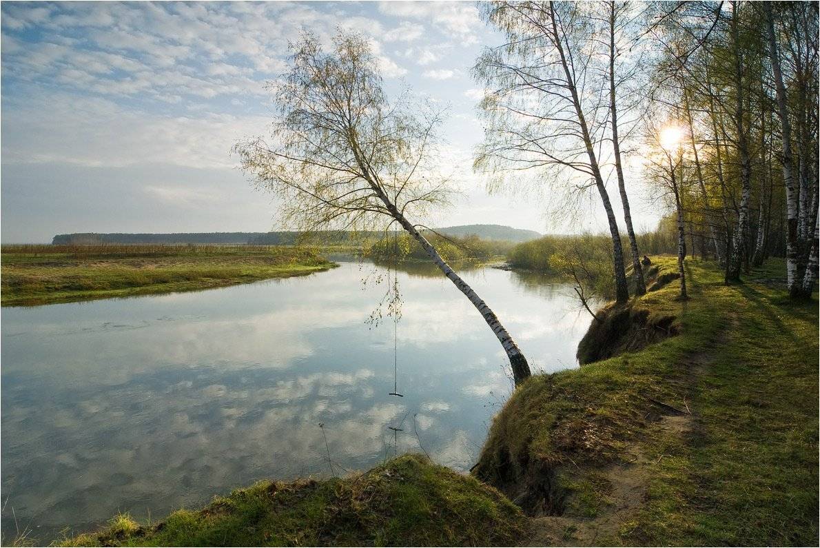 , Николай Шахманцир