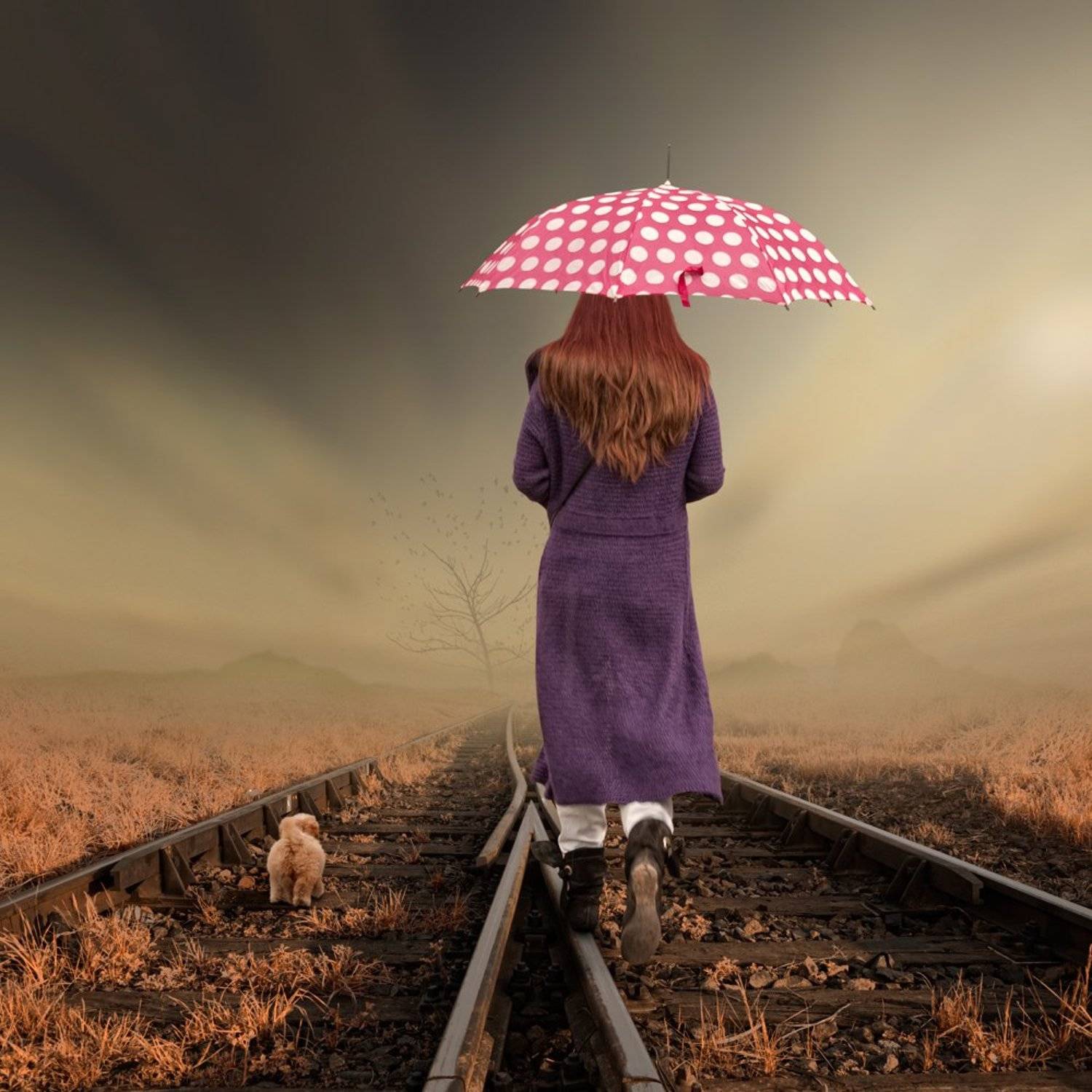 sky, girl, birds, umbrella, clouds, tree, dog, fly, pink, walking, journey, rails, train rails, mountings, patrocle, Caras Ionut