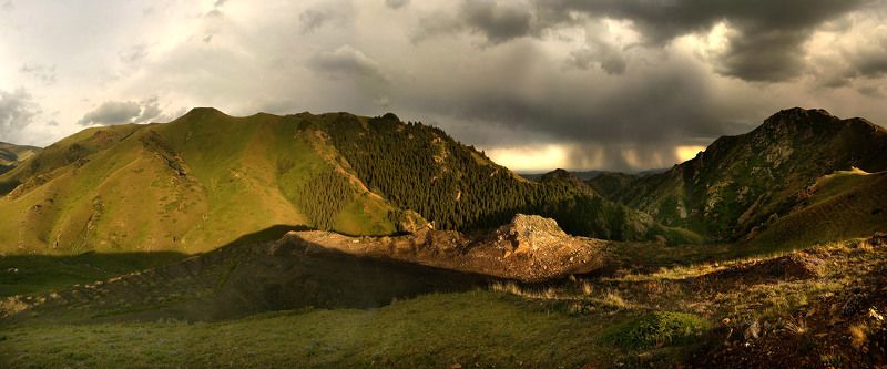 В КАЗАХСТАНЕ СЕГОДНЯ ДОЖДИ... или  ПРО ПИСАЮЩЕГО МАЛЬЧИКА... фото превью