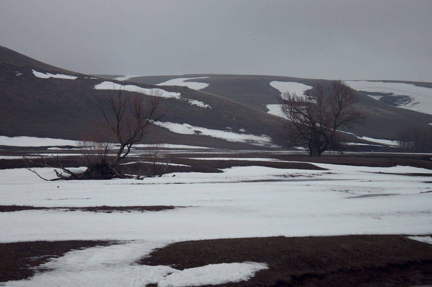 , Максим Филипов