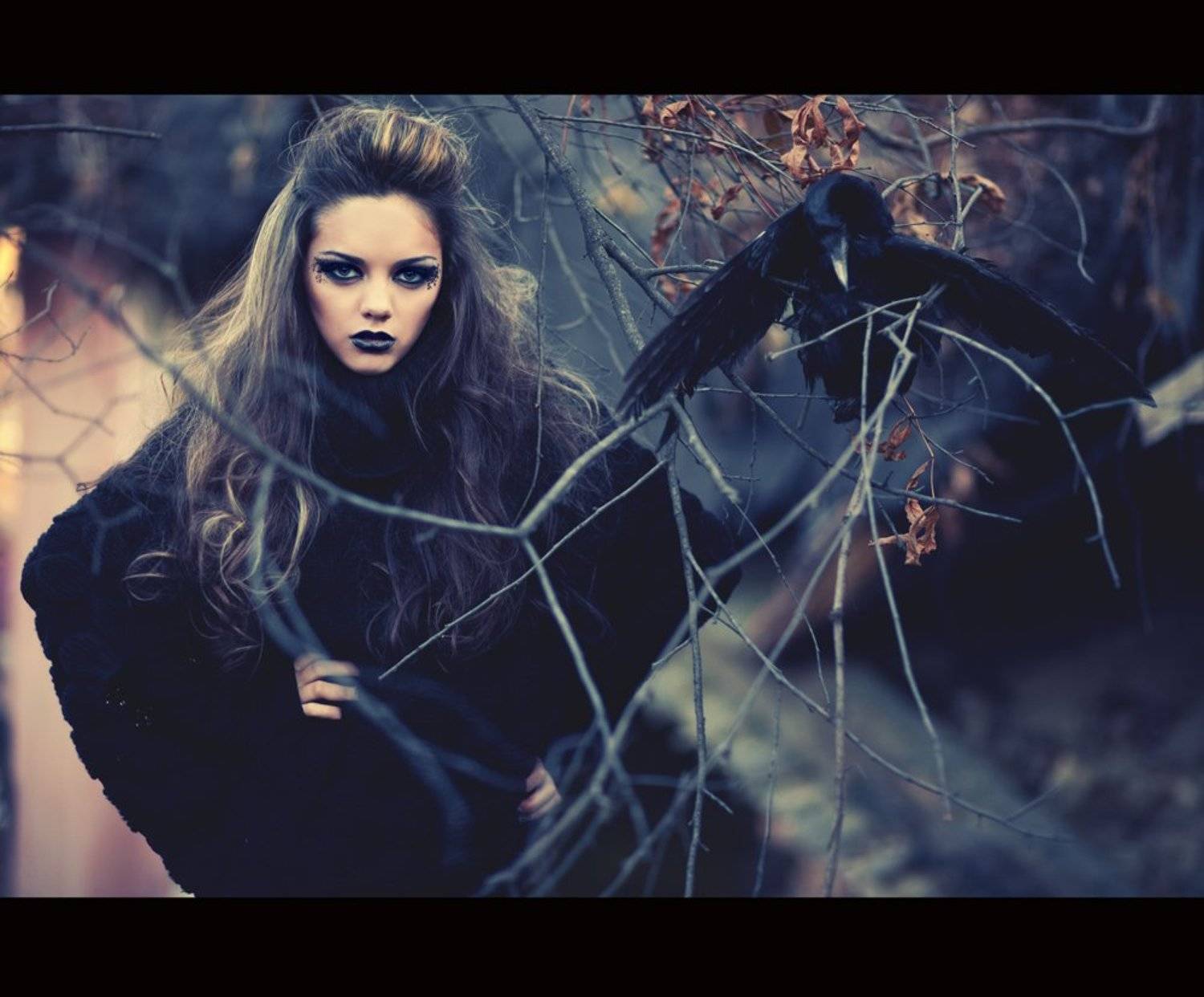 eye, crows, Александр Ростов