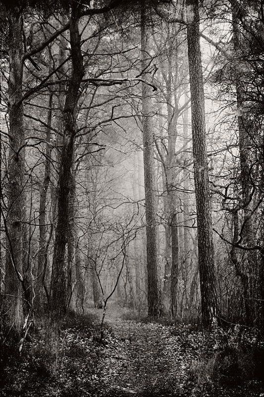 НАСТРОЕНИЕ фото превью