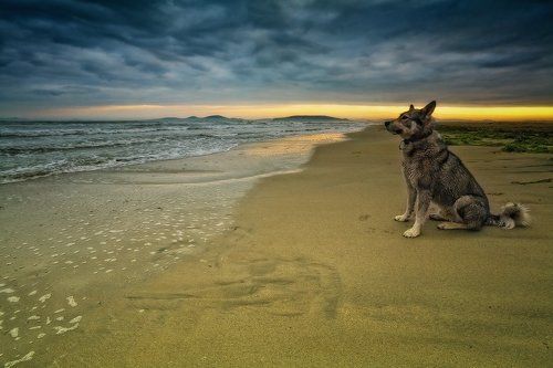 Запах свободы...