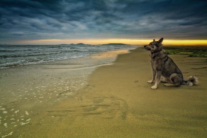 Запах свободы... фото превью