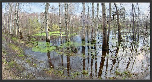 Большая вода, Мещера