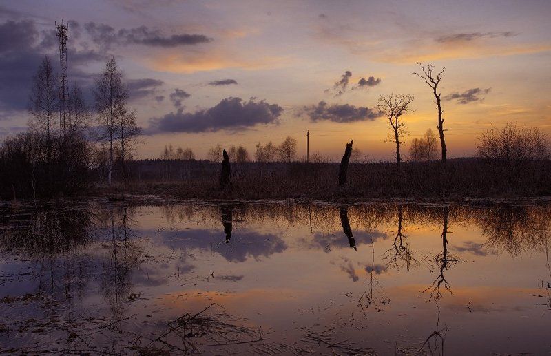 *** фото превью