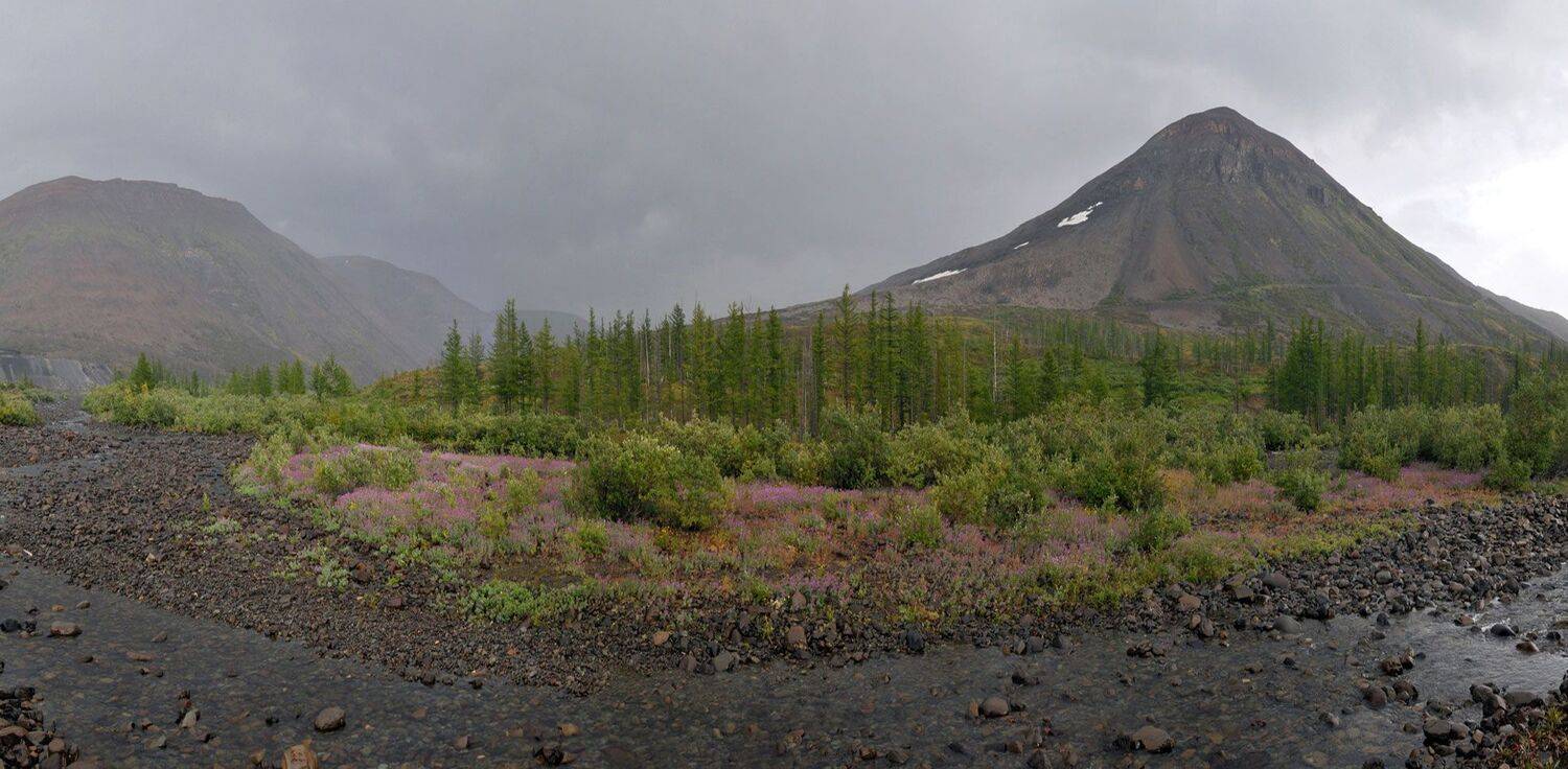 таймыр, Vladimir