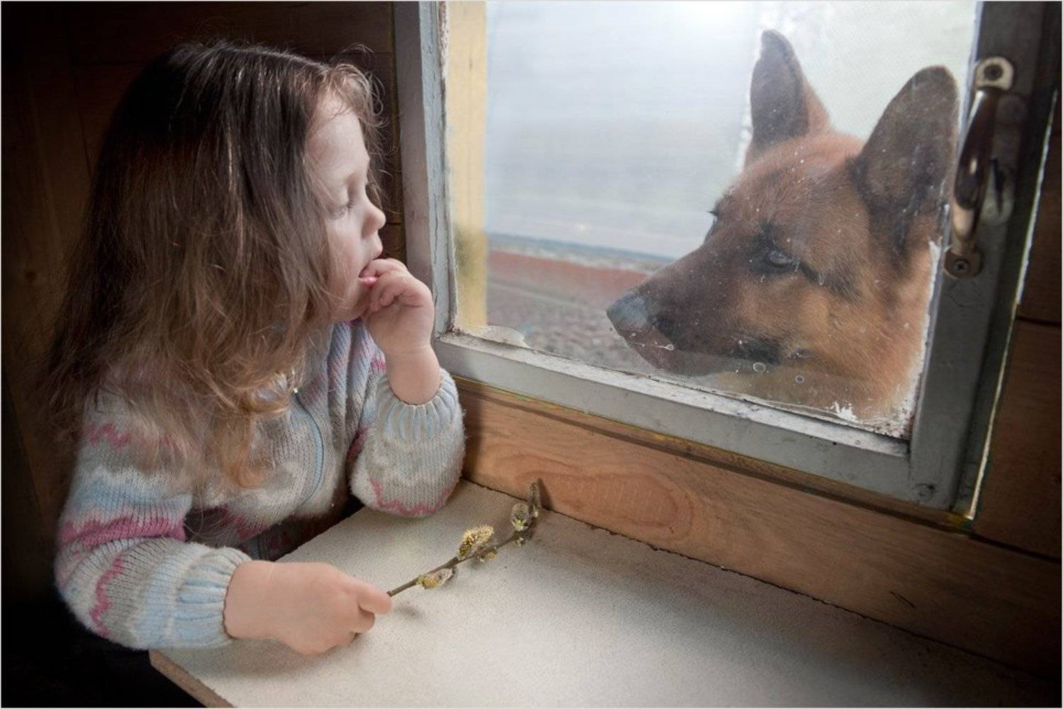 жанр, портрет, дети, животные, собака, Сотсков Николай