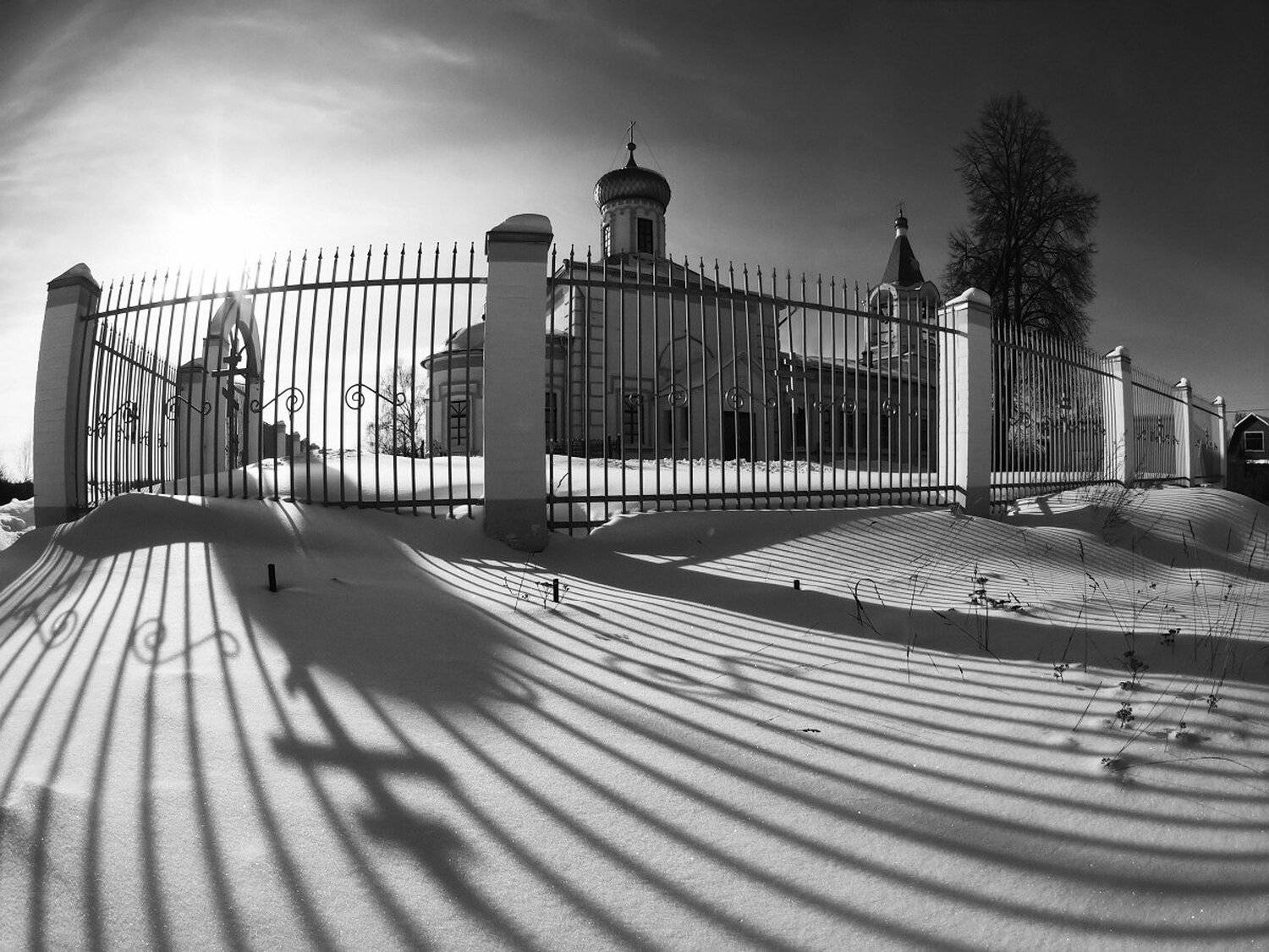 , Максим Евдокимов