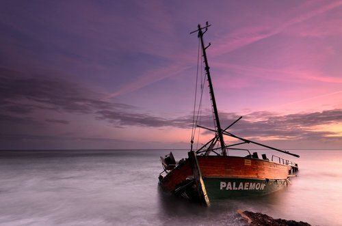 PALAEMON