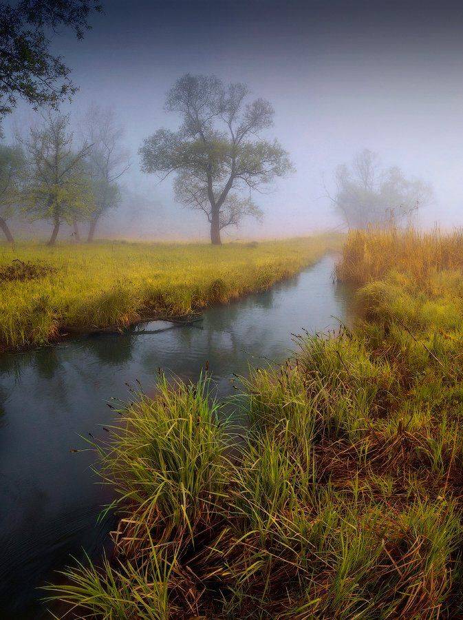 река, туман, дерево, утро, Виталий Башкатов