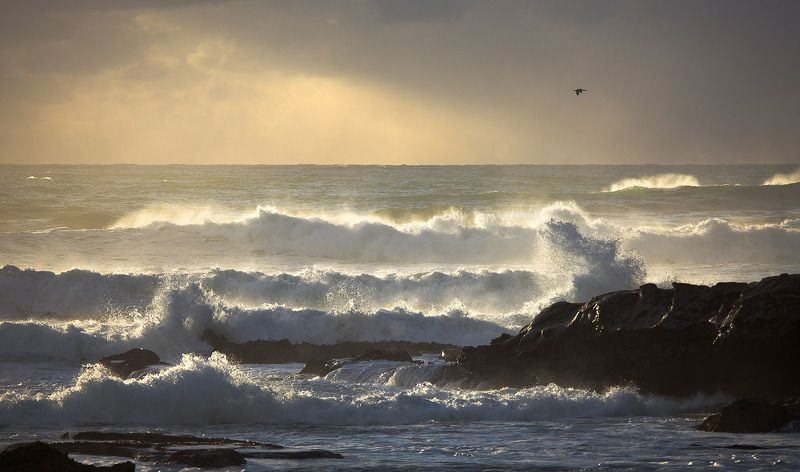 ПАЦИФИЧЕСКИЙ ПРИБОЙ... фото превью
