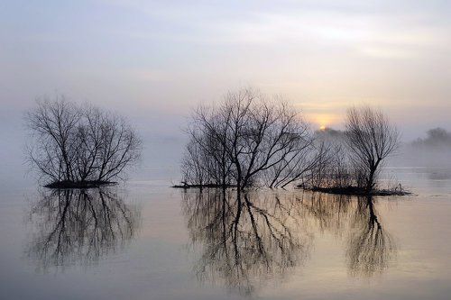 Большая вода