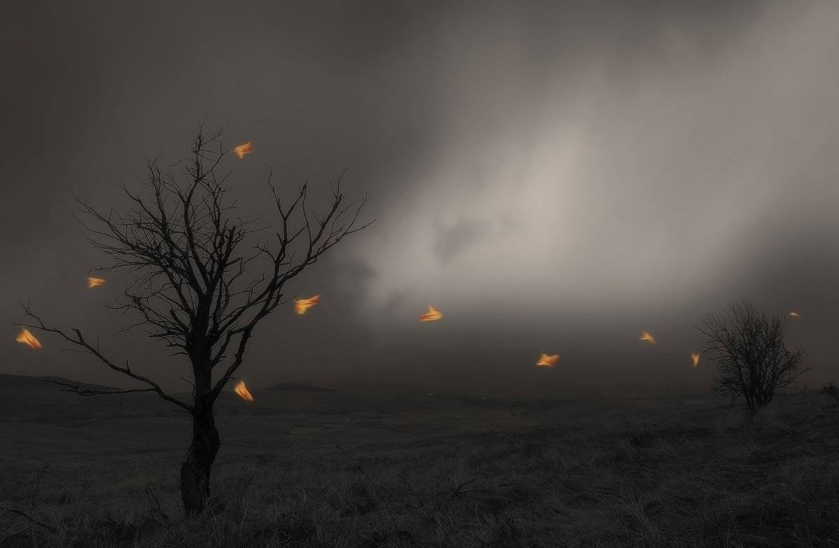 , Михаил  Пилипенко