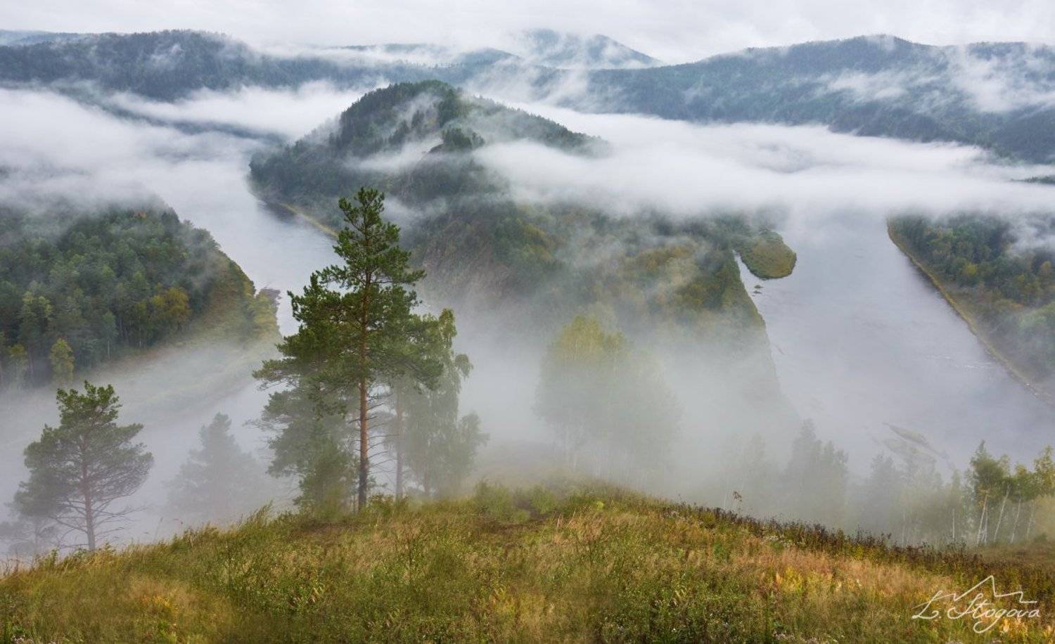мана, туман, река, Лена Стогова