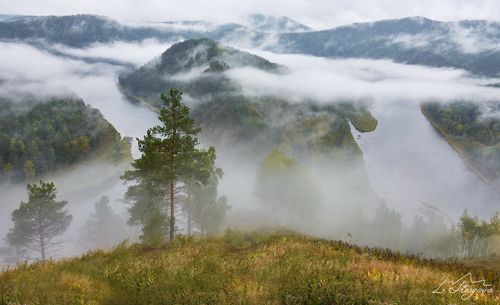 Дождливое утро