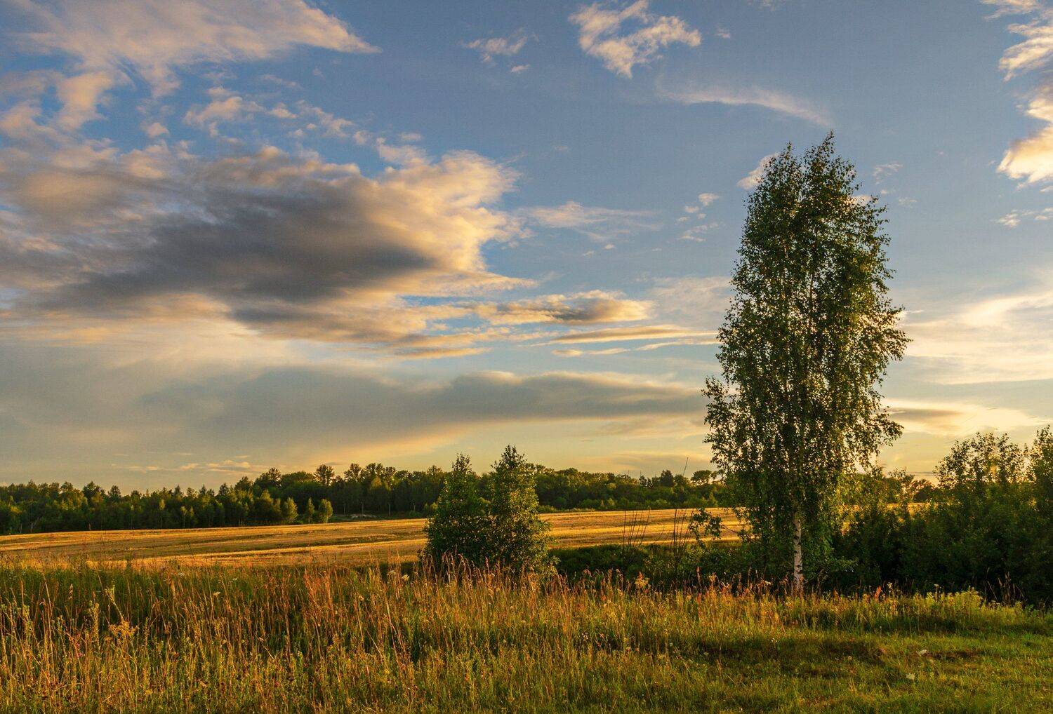 nevant60, пейзаж, красота, природа, Александр Березуцкий
