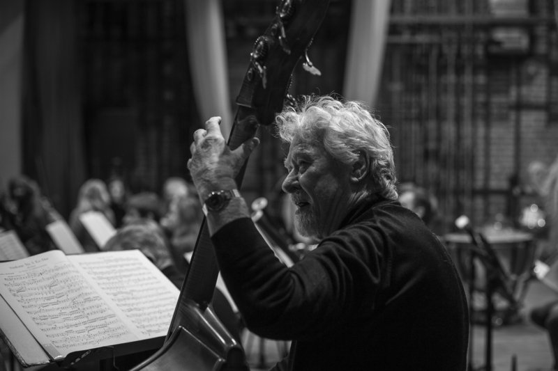 Маэстро фото превью