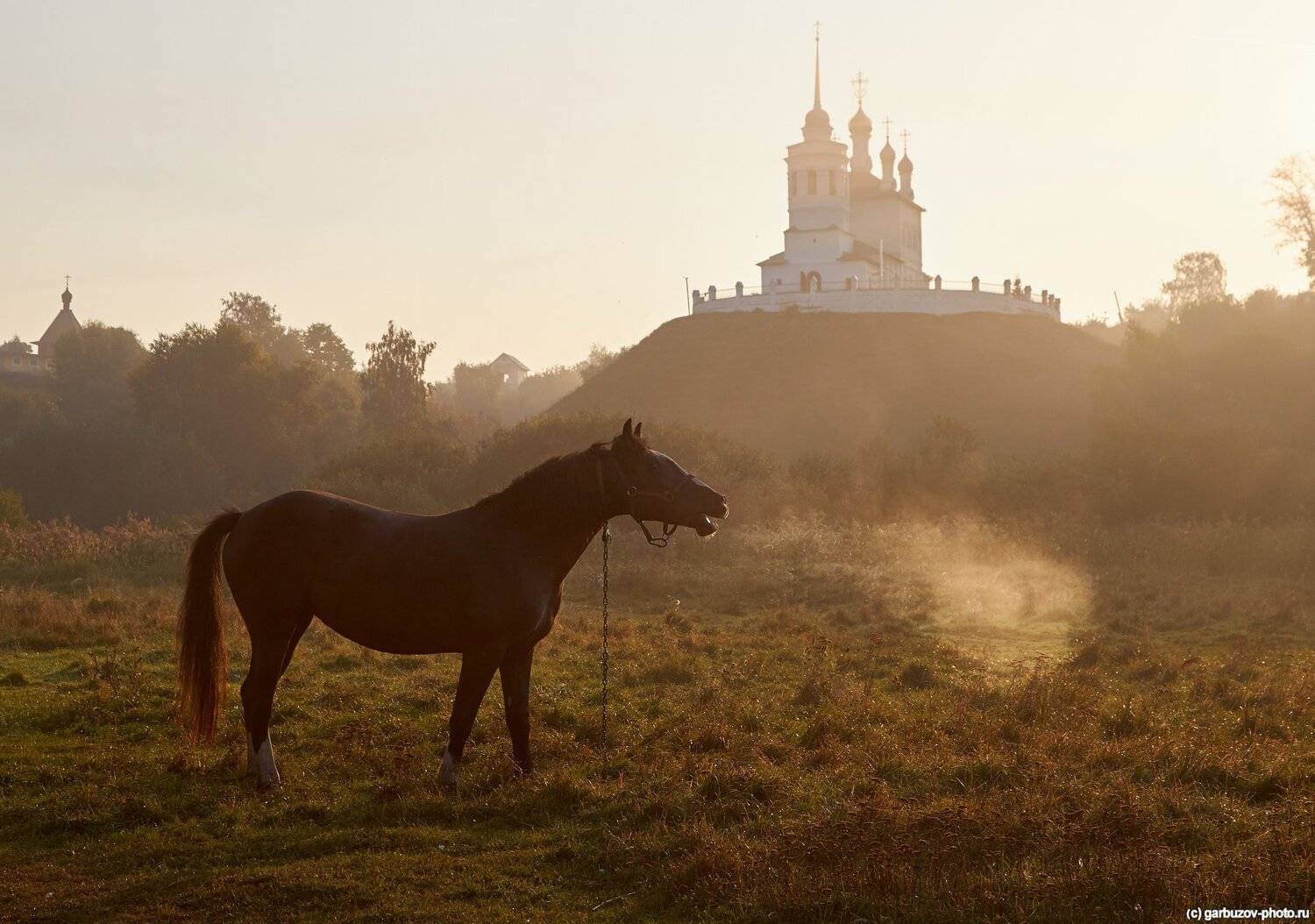 , Гарбузов Илья