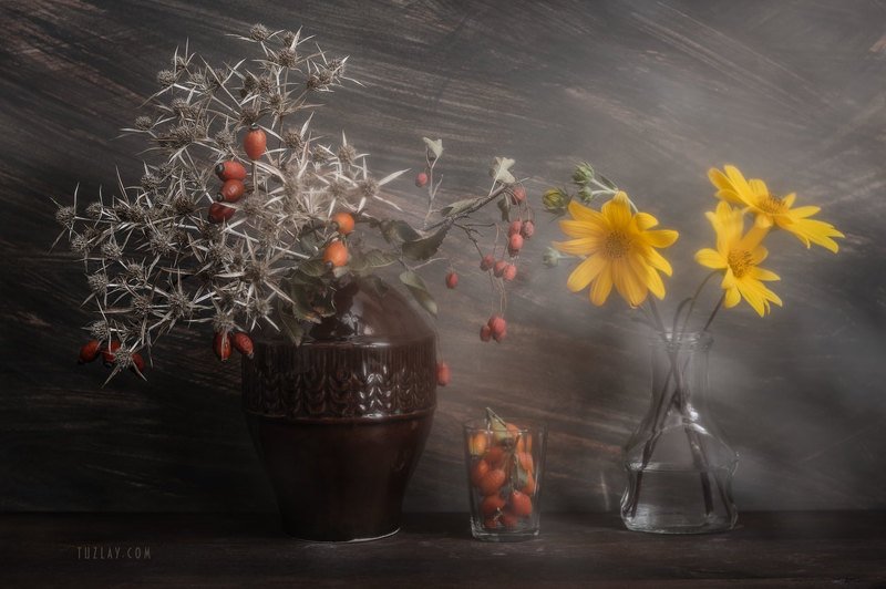 Про шипы, колючки и цветки топинамбура фото превью