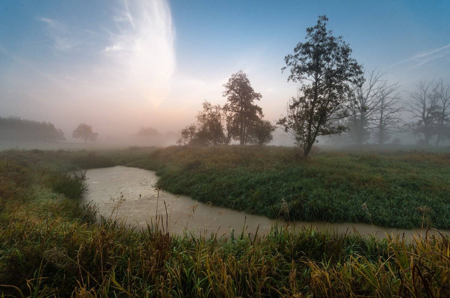 , Maciej Werbliński