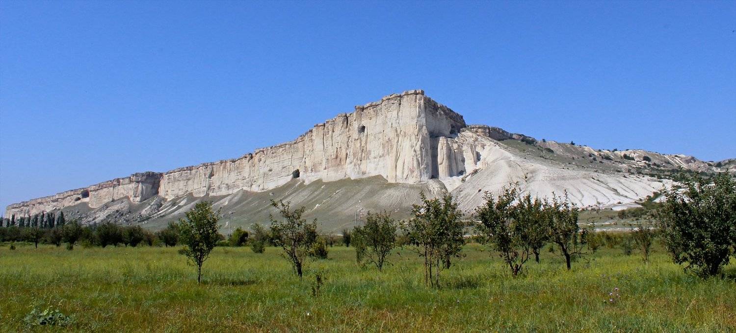 трава,свет,лес,деревья,облака,ветки,цветы,поле,небо, Юрий Котов