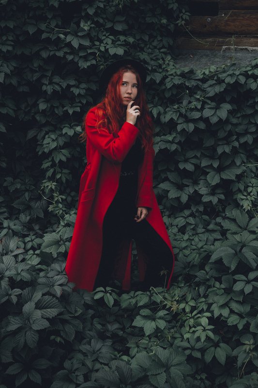 фото превью