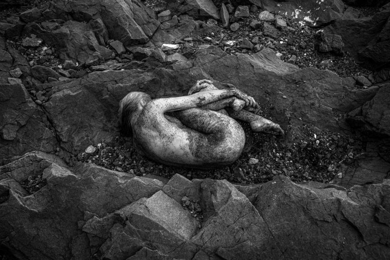 Эмбрион фото превью