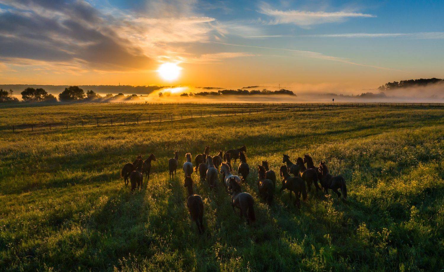 , Дмитрий Демидов