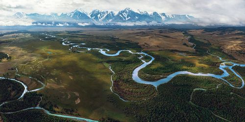 Курайская степь