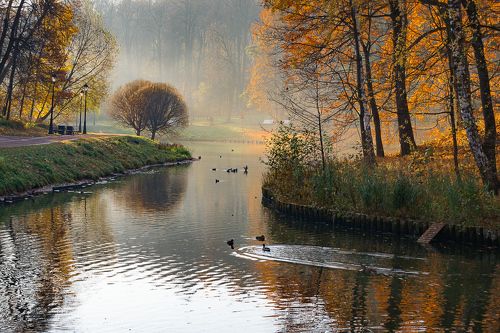 Утро в Царицыно