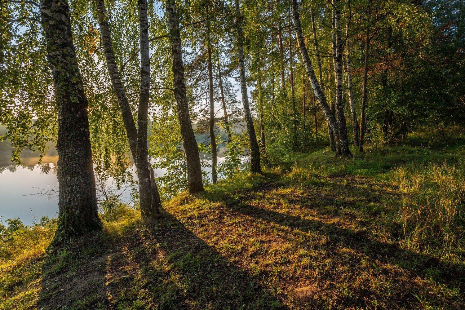 природа, пейзаж, рассвет, солнце, деревья, россия, Мартыненко Дмитрий