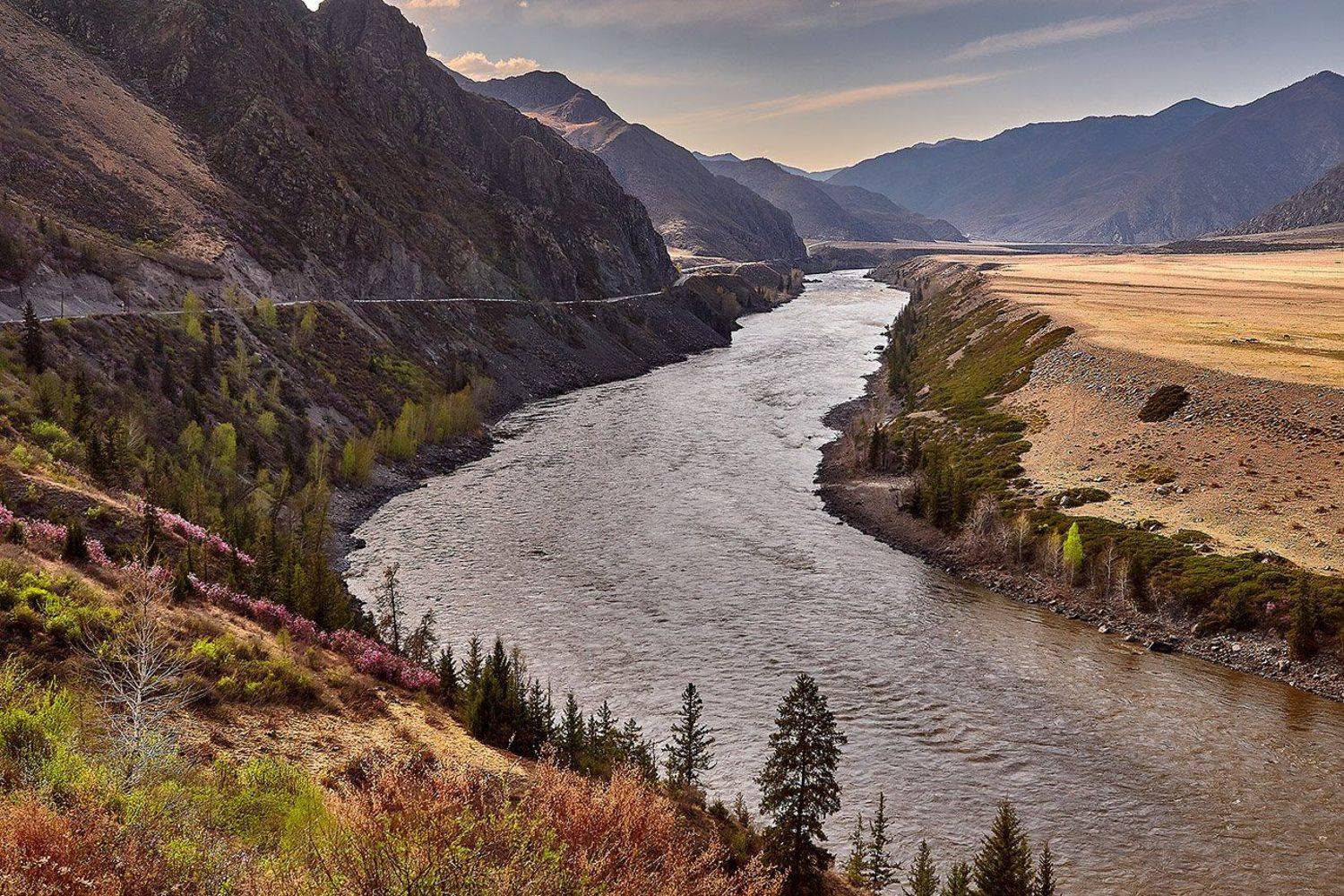 , Качурин Алексей