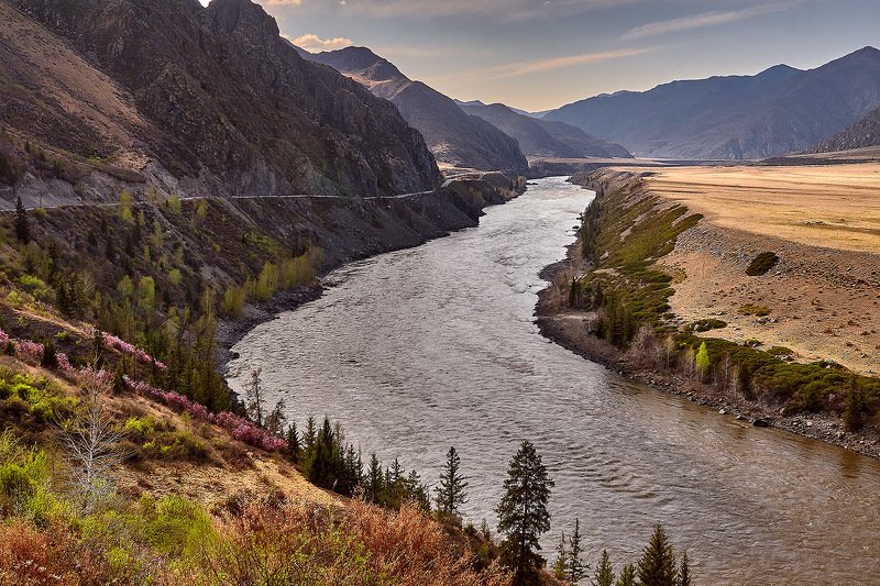 Весна на Алтае! фото превью