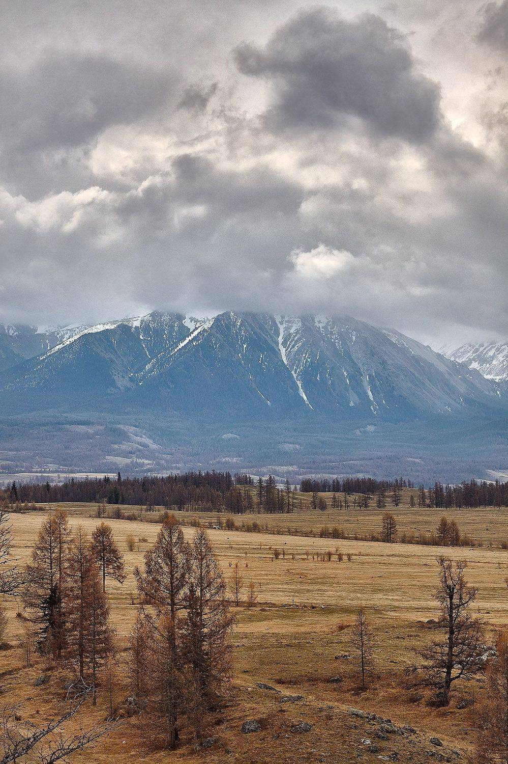 алтай, ледник актру, актру, алтайский край, долина, весна,осень, лиственницы, ледник,ледники, Качурин Алексей