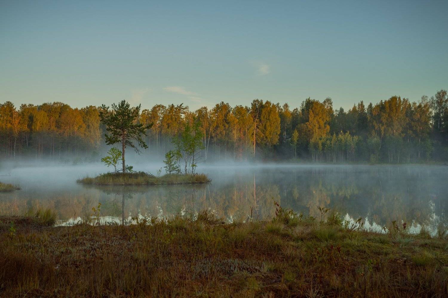, Елена Маковоз