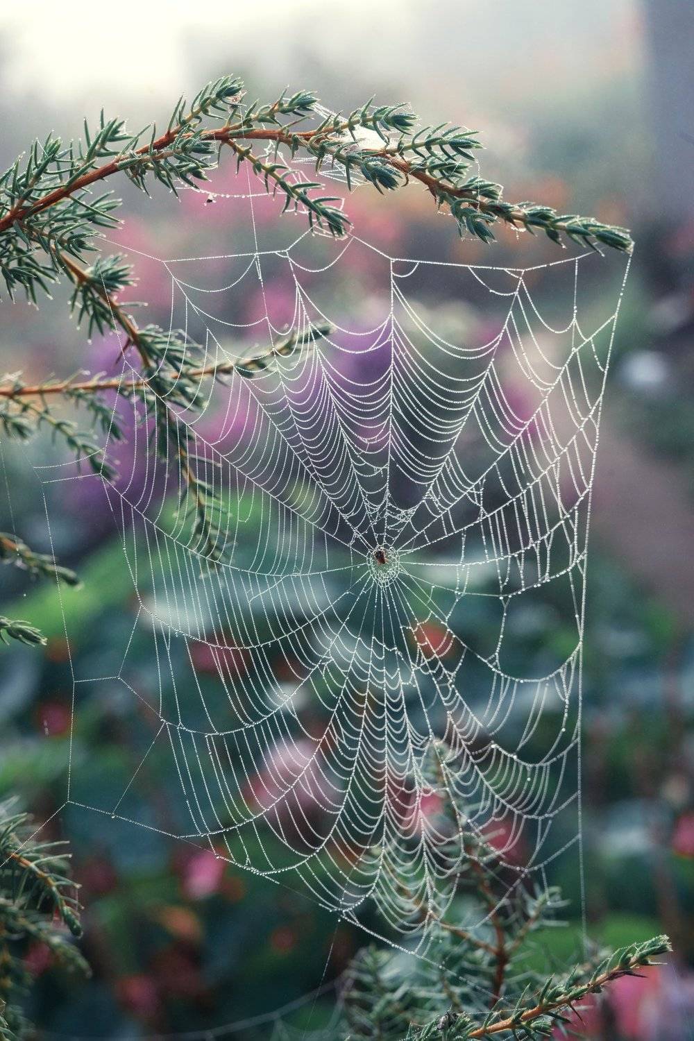 , Тарасова Ольга