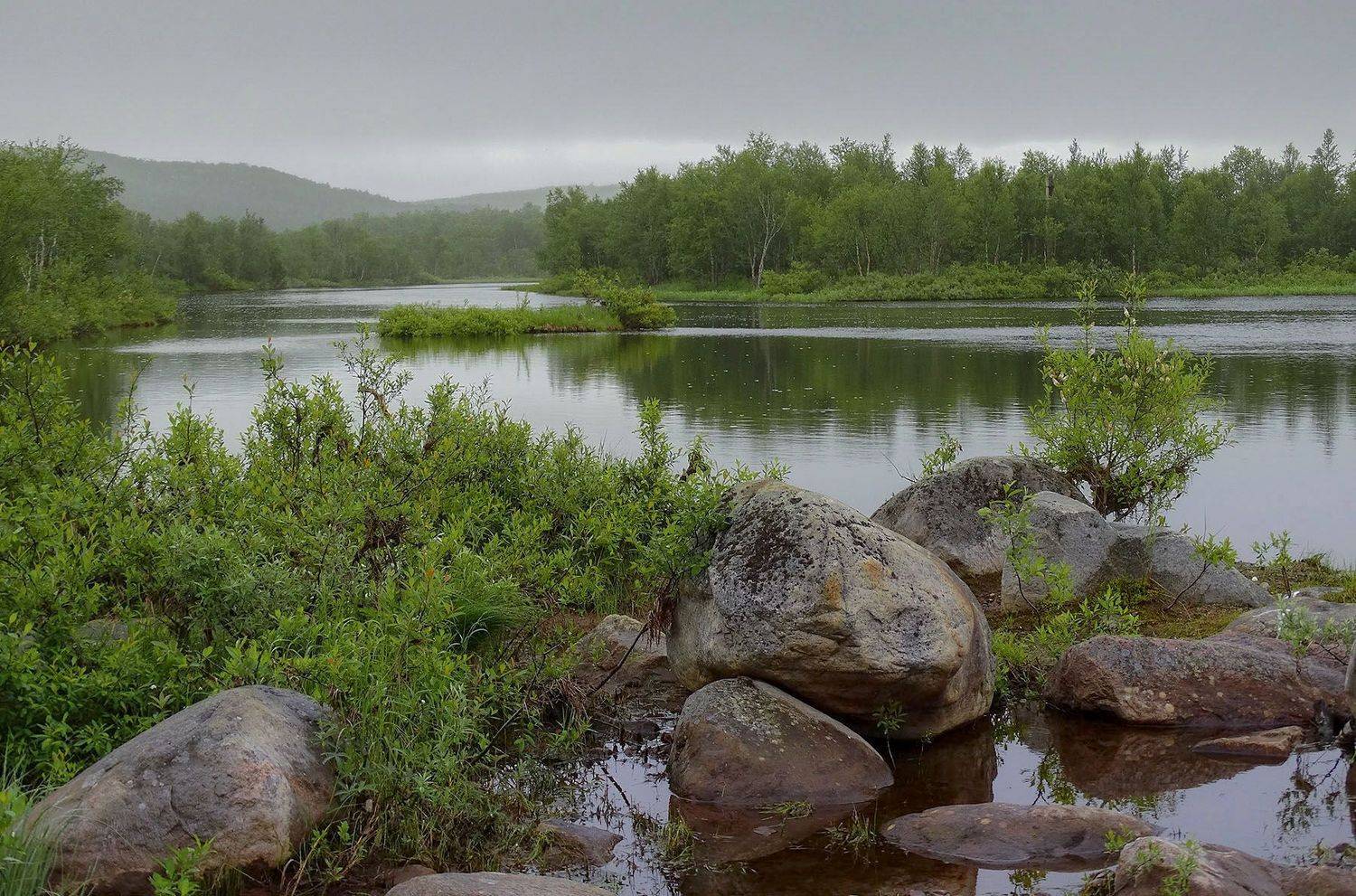 , Алиева Татьяна