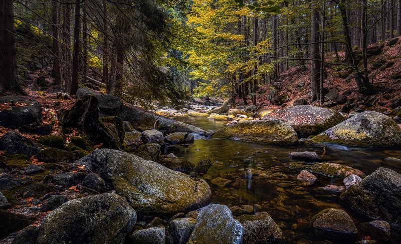 лето река вода водоём камни отражения лес деревья листва водопад пейзаж природа путешествия Лесная тишина фото превью
