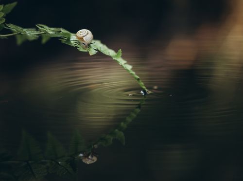 Тёплая осень...